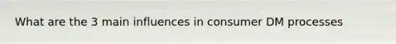 What are the 3 main influences in consumer DM processes