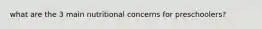 what are the 3 main nutritional concerns for preschoolers?