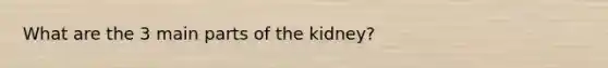 What are the 3 main parts of the kidney?