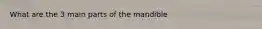 What are the 3 main parts of the mandible