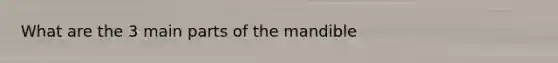 What are the 3 main parts of the mandible