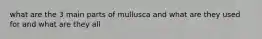 what are the 3 main parts of mullusca and what are they used for and what are they all