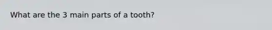 What are the 3 main parts of a tooth?