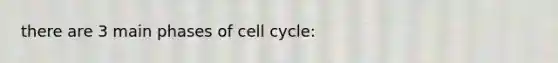 there are 3 main phases of cell cycle: