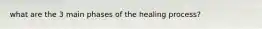 what are the 3 main phases of the healing process?