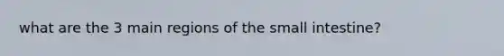 what are the 3 main regions of the small intestine?