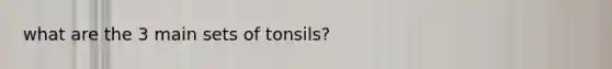 what are the 3 main sets of tonsils?