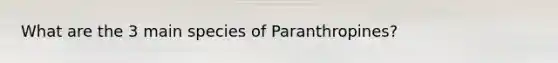 What are the 3 main species of Paranthropines?