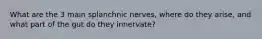 What are the 3 main splanchnic nerves, where do they arise, and what part of the gut do they innervate?