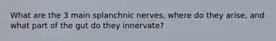 What are the 3 main splanchnic nerves, where do they arise, and what part of the gut do they innervate?