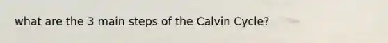 what are the 3 main steps of the Calvin Cycle?