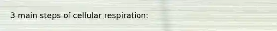 3 main steps of cellular respiration: