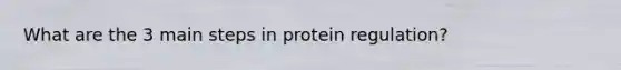 What are the 3 main steps in protein regulation?