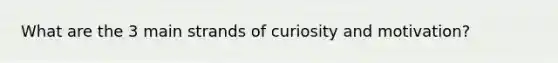 What are the 3 main strands of curiosity and motivation?