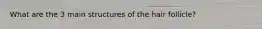 What are the 3 main structures of the hair follicle?