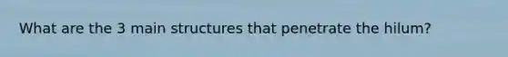 What are the 3 main structures that penetrate the hilum?