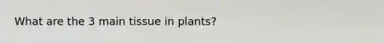 What are the 3 main tissue in plants?