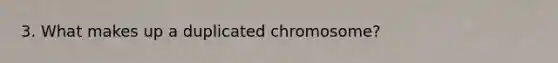 3. What makes up a duplicated chromosome?