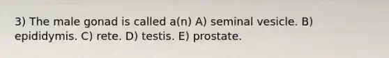 3) The male gonad is called a(n) A) seminal vesicle. B) epididymis. C) rete. D) testis. E) prostate.