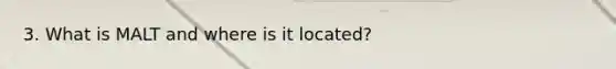 3. What is MALT and where is it located?