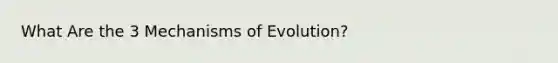 What Are the 3 Mechanisms of Evolution?