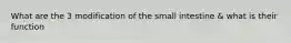 What are the 3 modification of the small intestine & what is their function