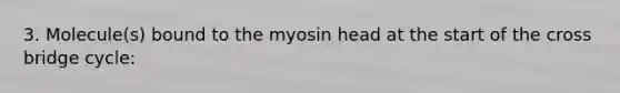 3. Molecule(s) bound to the myosin head at the start of the cross bridge cycle: