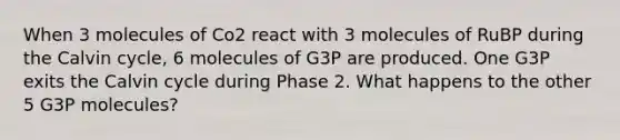 When 3 molecules of Co2 react with 3 molecules of RuBP during the Calvin cycle, 6 molecules of G3P are produced. One G3P exits the Calvin cycle during Phase 2. What happens to the other 5 G3P molecules?