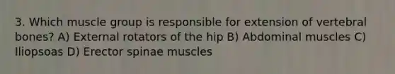 3. Which muscle group is responsible for extension of vertebral bones? A) External rotators of the hip B) Abdominal muscles C) Iliopsoas D) Erector spinae muscles