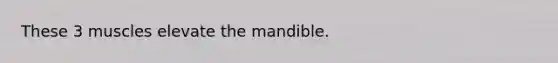 These 3 muscles elevate the mandible.