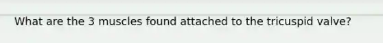 What are the 3 muscles found attached to the tricuspid valve?