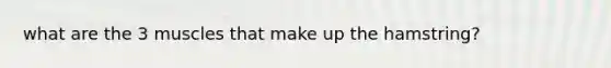 what are the 3 muscles that make up the hamstring?