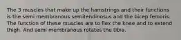 The 3 muscles that make up the hamstrings and their functions is the semi membranous semitendinosus and the bicep femoris. The function of these muscles are to flex the knee and to extend thigh. And semi membranous rotates the tibia.