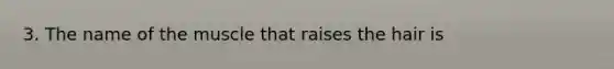 3. The name of the muscle that raises the hair is