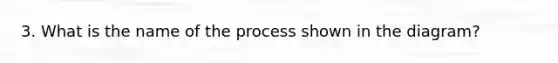 3. What is the name of the process shown in the diagram?