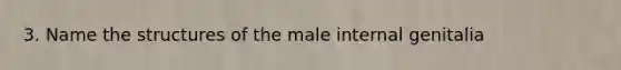 3. Name the structures of the male internal genitalia