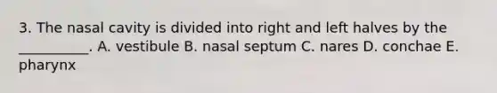 3. The nasal cavity is divided into right and left halves by the __________. A. vestibule B. nasal septum C. nares D. conchae E. pharynx