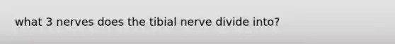 what 3 nerves does the tibial nerve divide into?