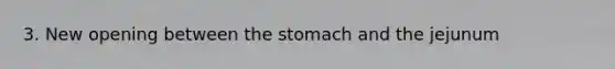 3. New opening between the stomach and the jejunum