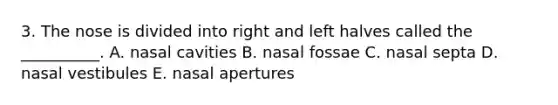 3. The nose is divided into right and left halves called the __________. A. nasal cavities B. nasal fossae C. nasal septa D. nasal vestibules E. nasal apertures