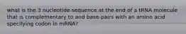 what is the 3 nucleotide sequence at the end of a tRNA molecule that is complementary to and base-pairs with an amino acid specifying codon in mRNA?