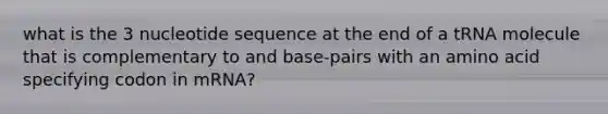 what is the 3 nucleotide sequence at the end of a tRNA molecule that is complementary to and base-pairs with an amino acid specifying codon in mRNA?