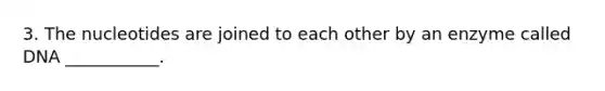 3. The nucleotides are joined to each other by an enzyme called DNA ___________.