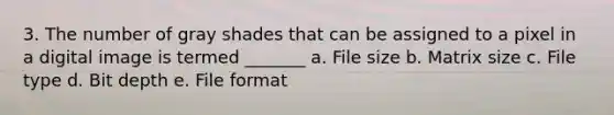 3. The number of gray shades that can be assigned to a pixel in a digital image is termed _______ a. File size b. Matrix size c. File type d. Bit depth e. File format