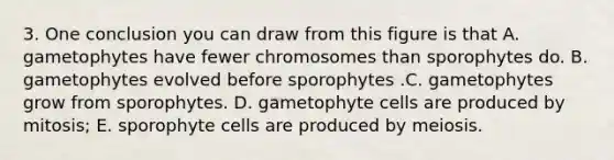 3. One conclusion you can draw from this figure is that A. gametophytes have fewer chromosomes than sporophytes do. B. gametophytes evolved before sporophytes .C. gametophytes grow from sporophytes. D. gametophyte cells are produced by mitosis; E. sporophyte cells are produced by meiosis.