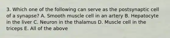 3. Which one of the following can serve as the postsynaptic cell of a synapse? A. Smooth muscle cell in an artery B. Hepatocyte in the liver C. Neuron in the thalamus D. Muscle cell in the triceps E. All of the above