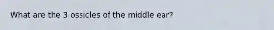 What are the 3 ossicles of the middle ear?