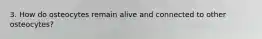 3. How do osteocytes remain alive and connected to other osteocytes?