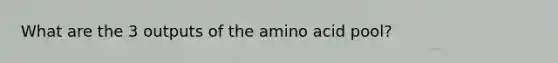 What are the 3 outputs of the amino acid pool?