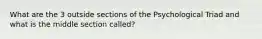 What are the 3 outside sections of the Psychological Triad and what is the middle section called?